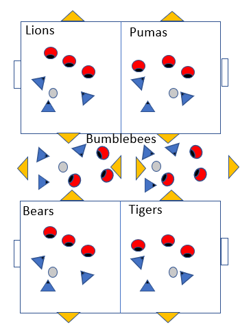 Small sided game diagram