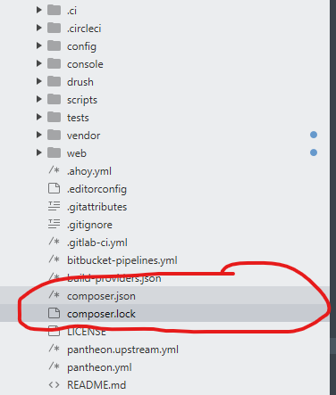 composer json and composer lock