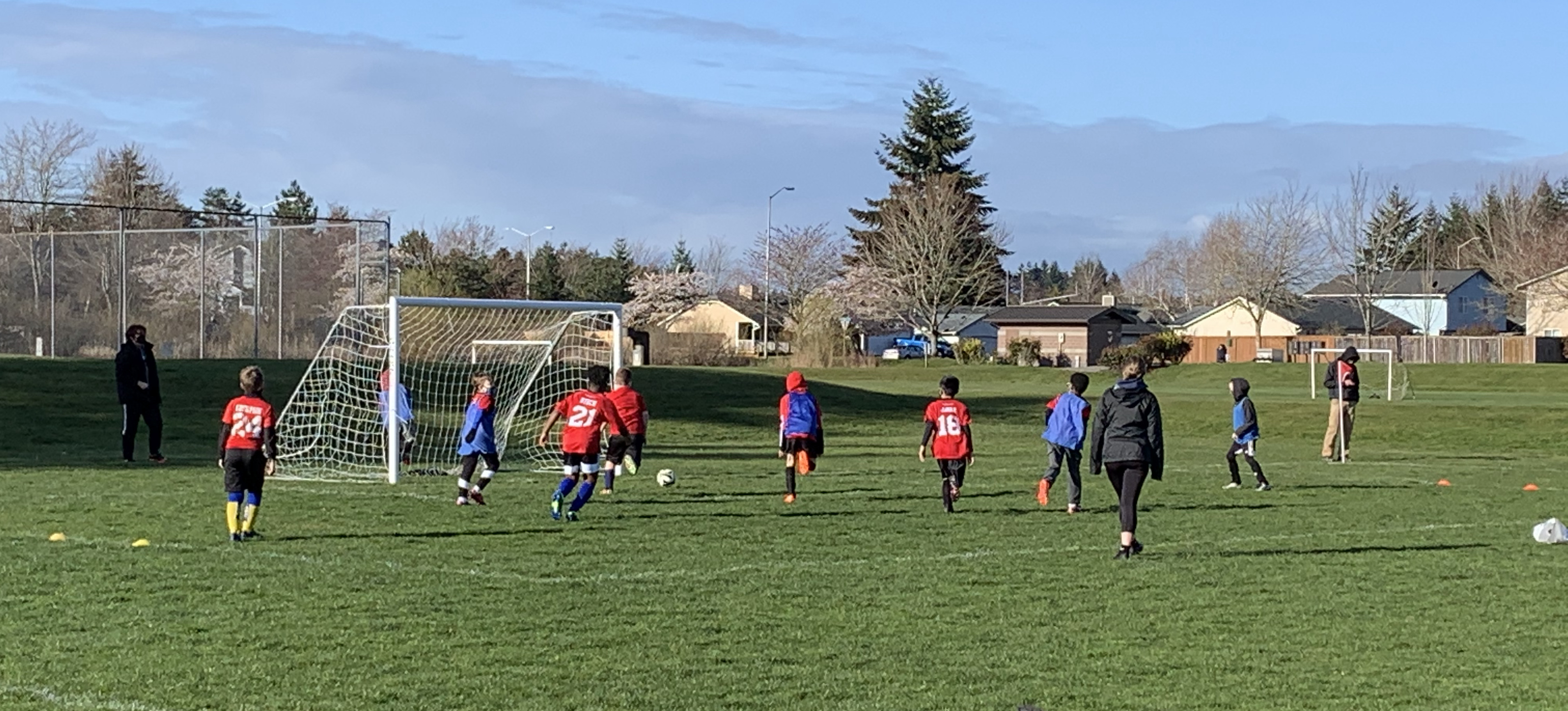 Lions warming up