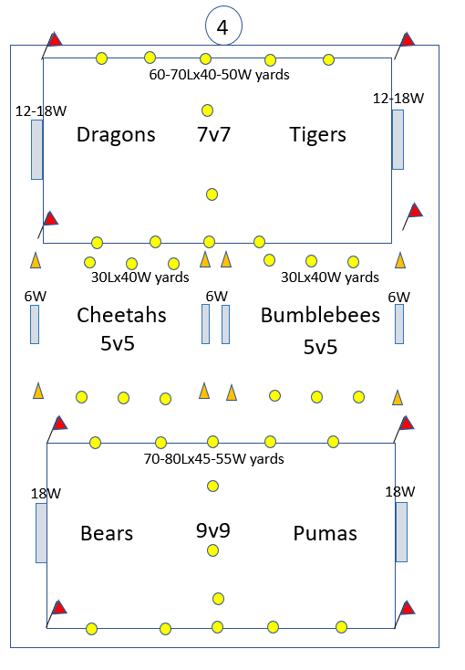 Field layout